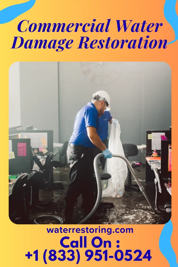 Commercial Water Damage Restoration in Maple Valley, WA