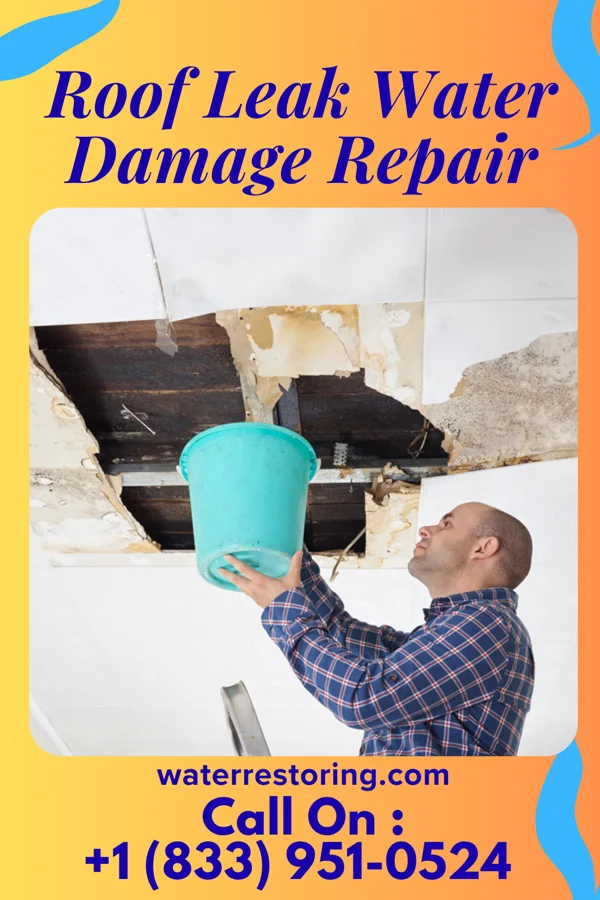 Roof Leak Water Damage Repair in Maple Valley, WA